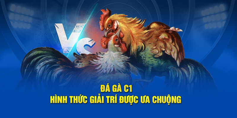 Đá gà c1 - hình thức giải trí được ưa chuộng