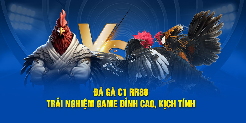 Đá Gà C1 Rr88 - Trải Nghiệm Game Đỉnh Cao, Kịch Tính