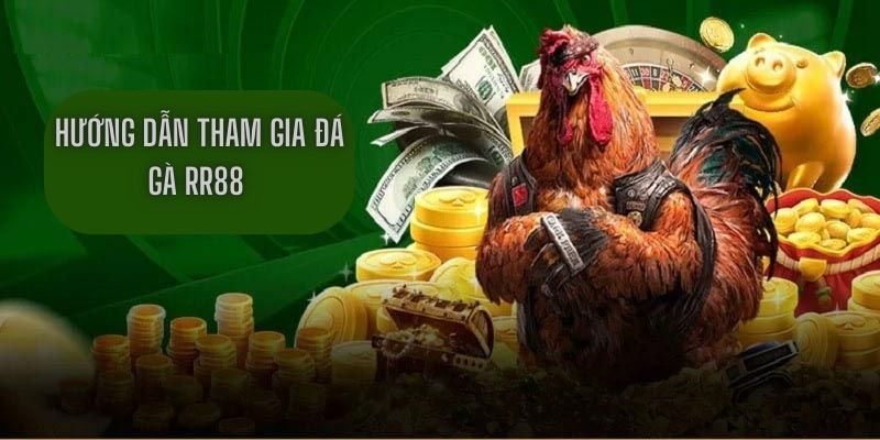 Hướng dẫn tham gia đá gà RR88 đầy đủ nhất