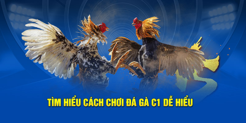 Tìm hiểu cách chơi đá gà c1 dễ hiểu